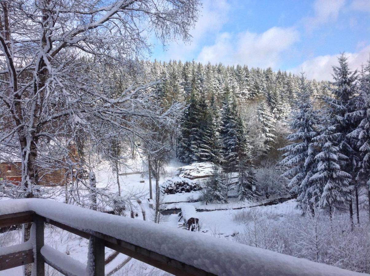 Chalet Le Nid Des Mesanges *
